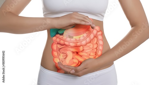 Woman holding her abdomen with a highlighted digestive system illustration overlayed