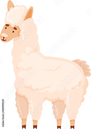 Llama standing, graphic illustration of a domestic animal