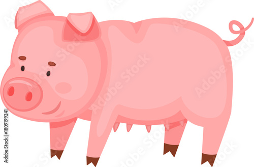 Pink pig cartoon character standing vector illustration