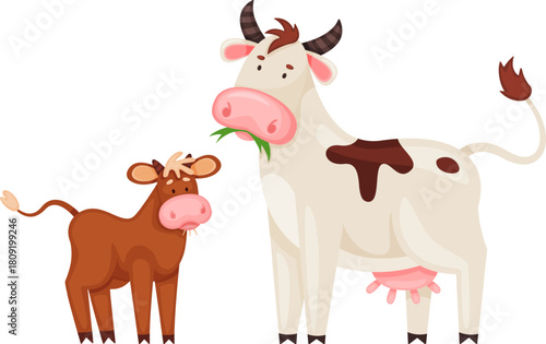 Mother cow eating grass with young calf standing