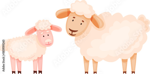 Mother sheep and little lamb standing together