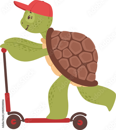 Cartoon turtle wearing cap riding kick scooter