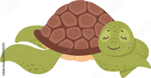Cute cartoon sea turtle resting peacefully illustration