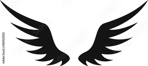 Pair of black silhouette wings icon illustration