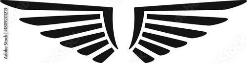 Black stylized wings representing flight and freedom