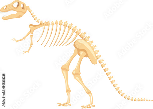 Tyrannosaurus Rex skeleton prehistoric dinosaur bones rendering