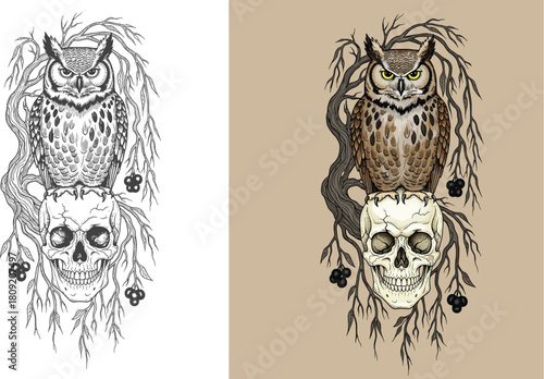 Owl and Human Skull on Tree Branch Engraving Graphic
