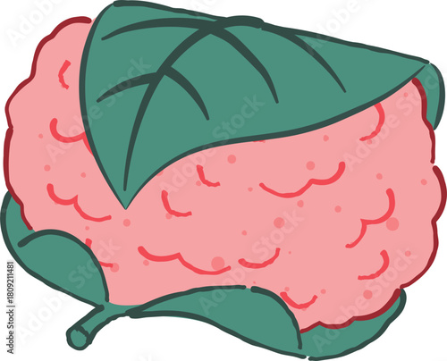 Sakura mochi Japanese spring wagashi illustration