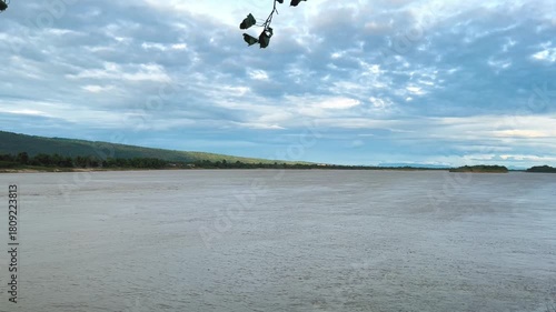 Windy with Silhouette of Peepal Leafs on the Branches, Landscape Riverside Mekong River. Record Video at Temple, Khai Si, Bueng Kan, Thailand. 03Nov2025, P.M./ Real Time Video with Sound
