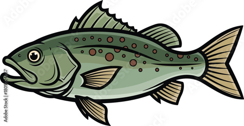 Detailed illustration of a freshwater fish with scales and fins side view.