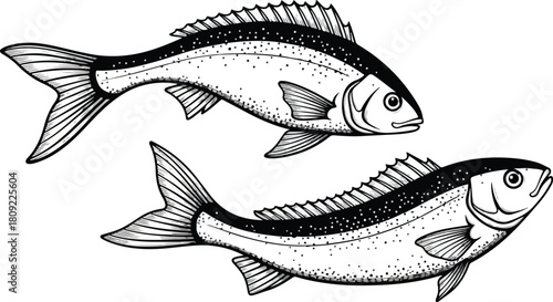 Detailed illustration of two fish swimming in opposite directions artistic design.