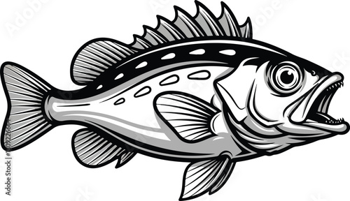Detailed monochrome illustration of a largemouth bass fish with open mouth.