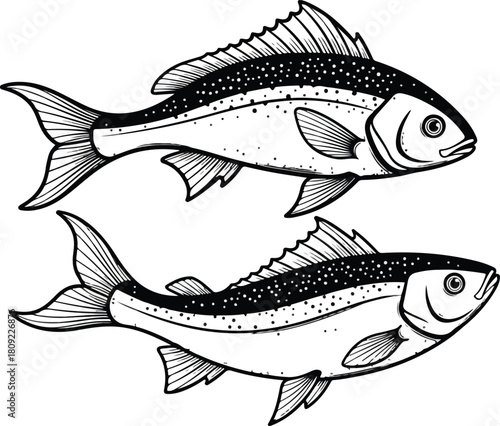 Detailed illustration of two fish swimming in opposite directions black and white.