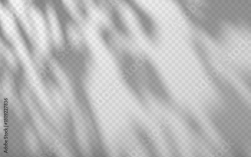 Dappled light creates natural shadow overlay on a transparent background. Soft foliage light effects with organic leaf pattern.