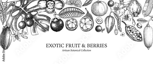 Exotic fruit background. Tropical plants hand drawn vector illustration. Healthy food banner design template. NOT AI generated