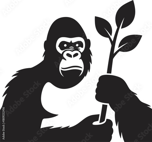 Black gorilla holding a plant branch with leaves in its hand primate animal
