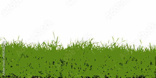 Green grass vector illustration with white background for graphic design
