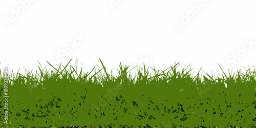 Vector illustration of green grass border on white background