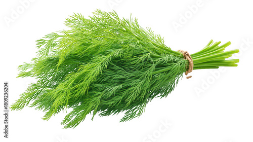 Dill sprigs arranged on a dark backdrop fresh green dill herb displayed against deep black surface