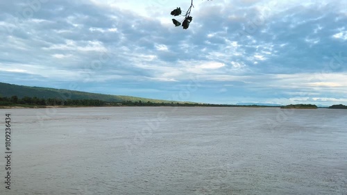 Windy with Silhouette of Peepal Leafs on the Branches, Landscape Riverside Mekong River. Record Video at Temple, Khai Si, Bueng Kan, Thailand. 03Nov2025, P.M./ Slow Down Video