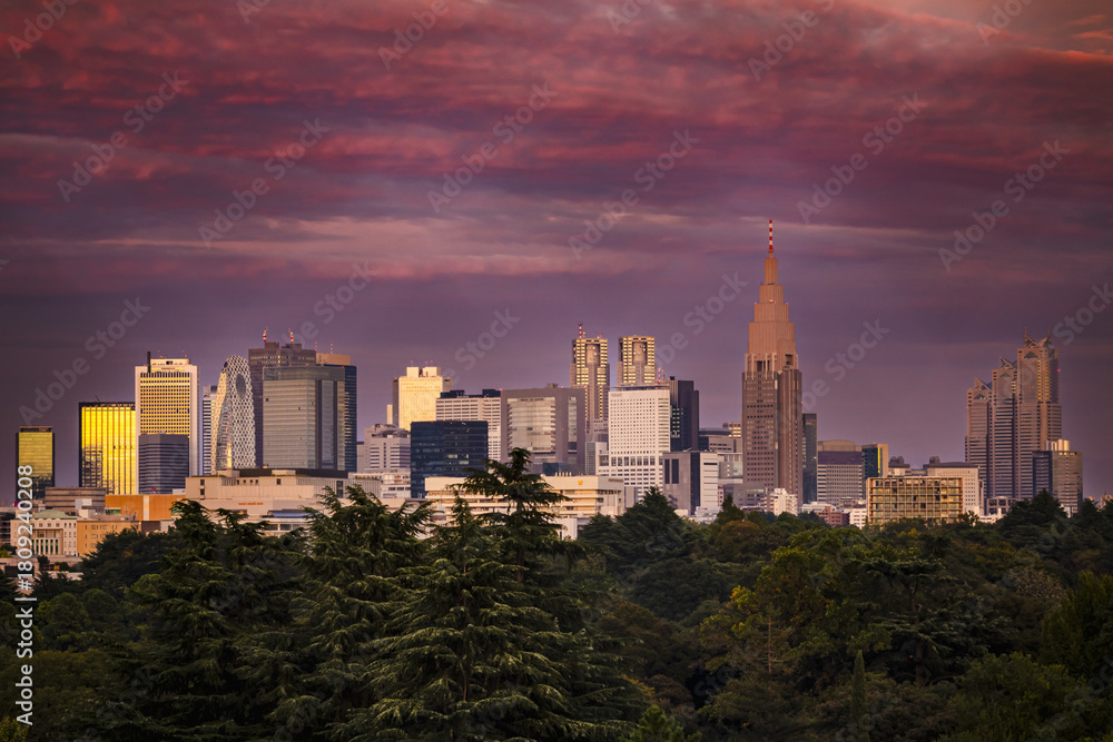 Fototapeta premium Fuji Moutain during the golden hour over Tokyo: panoramic view of Shinjuku skyline with Mount Fuji in the background, glowing in soft dawn light and colors above the city