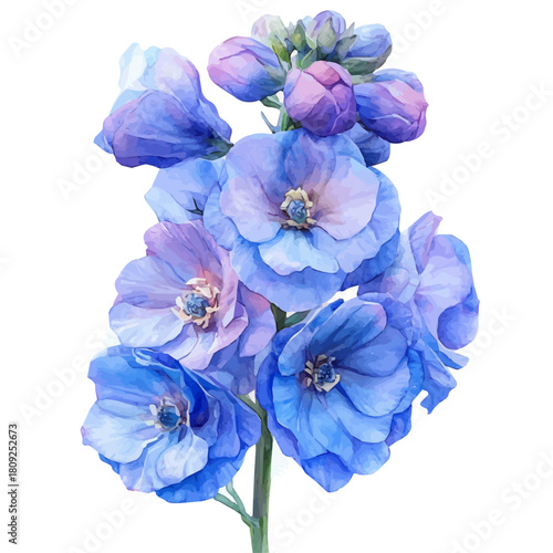 watercolor vector of Delphinium Flower, isolated on a white background.