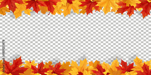 Autumn maple leaves frame with transparent background for text or image