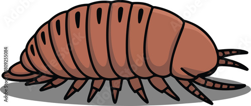 Brown woodlouse vector illustration showing a common terrestrial crustacean with segmented body and legs