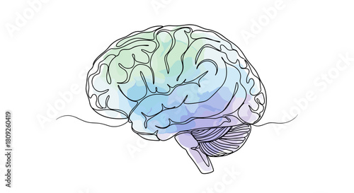 human brain organ thinking mind intelligence and mental activity one line minimalist illustration with watercolor fill