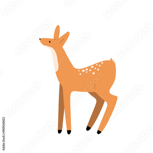Illustration of young fawn in forest scene. Gentle animal and woodland creature stands in nature. Young beast and graceful mammal. Flat vector art.