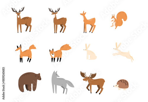 Forest animals set illustration including brown bear, red fox, grey wolf, antlered deer, fluffy hares and spiny hedgehog. Wild beasts and woodland creatures in natural habitat among trees and plants.