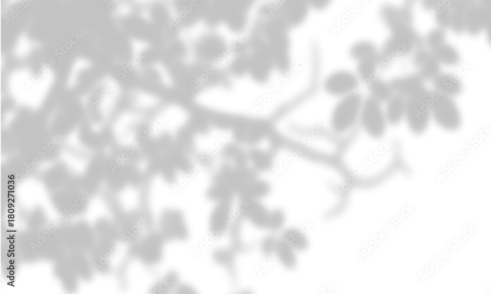 Obraz premium Abstract semitransparent grey shadow overlay