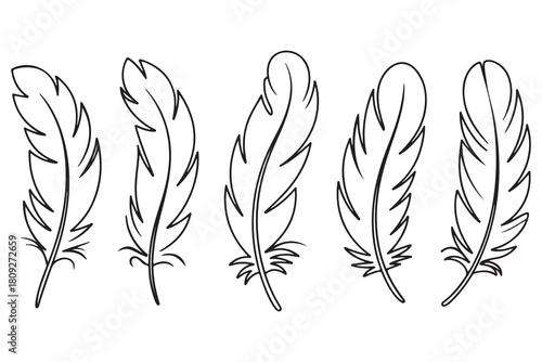 Minimal feather collection single line art illustration on white background
