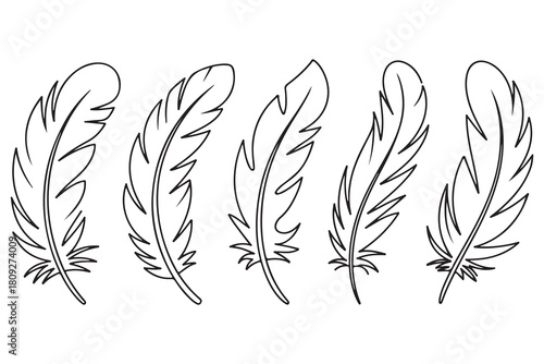 Minimal feather collection single line art illustration on white background
