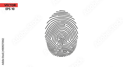 A detailed vector illustration of a human fingerprint with intricate black lines on a white background, symbolizing identity and security.