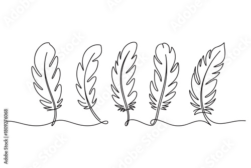 Minimal feather collection single line art illustration on white background
