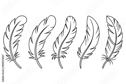 Minimal feather collection single line art illustration on white background
