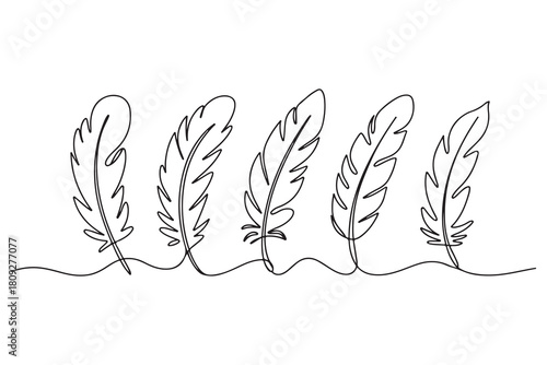 Minimal feather collection single line art illustration on white background
