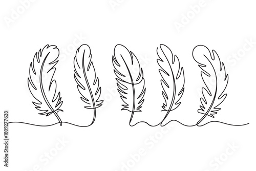 Minimal feather collection single line art illustration on white background
