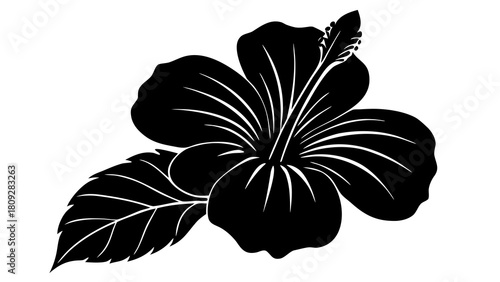Elegant black and white hibiscus flower illustration with detailed stamen and leaf design perfect for botanical themes and minimalist decor projects offering a touch of tropical beauty