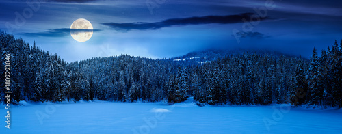 panorama of beautiful mountainous landscape in winter at night. spruce forest around the snow covered and frozen lake in full moon light. cold weather. background for fake news or conspiracy concepts