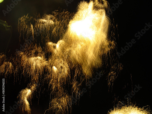 Obraz na płótnie Fireworks San Gionavi 2012