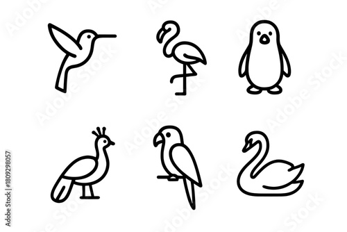 Minimalist black outline icons featuring exotic birds like flamingo, penguin, swan, and hummingbird