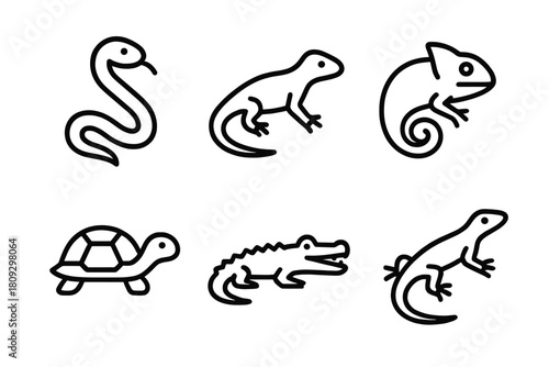 Minimalist outline icons set of common reptiles like snake, lizard, chameleon, turtle, and crocodile