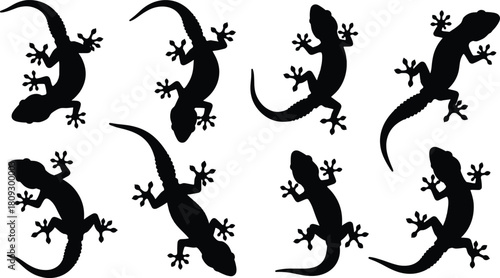 Black gecko lizard silhouettes set isolated on white background, reptile animal illustration collection for wildlife nature design, decoration, graphic art use