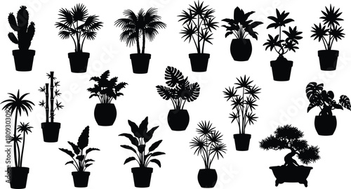 Black potted plant silhouette, bonsai vector, indoor foliage outline, decorative leaves, botanical illustration, houseplant design, isolated shapes, nature art