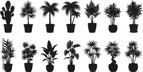 Black potted plant silhouette, cactus vector, palm outline, fern leaves, tropical foliage, indoor houseplant design, botanical illustration, decorative 