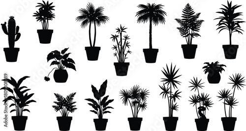Black potted plant silhouette, indoor foliage vector, cactus and succulent outline, tropical leaves, botanical illustration, houseplant design, decorative 