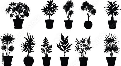 Black potted plant silhouette, indoor houseplant vector, cactus and succulent outline, tropical leaves, botanical illustration, decorative foliage, isolated shapes, nature art
