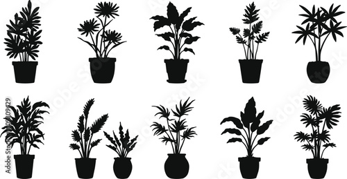Black potted plant silhouette, indoor houseplant vector, cactus and succulent outline, tropical leaves, botanical illustration, decorative foliage, isolated 